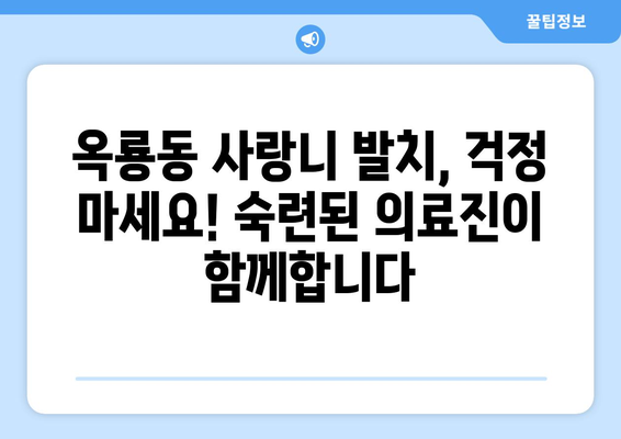 충청남도 공주시 옥룡동 사랑니 발치 치과 가격 비용 잘하는 곳 추천 BEST 10 비교 가이드