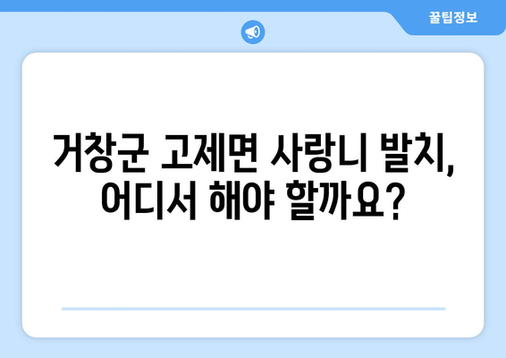 경상남도 거창군 고제면 사랑니 발치 치과 가격 비용 잘하는 곳 추천 BEST 10 비교 가이드