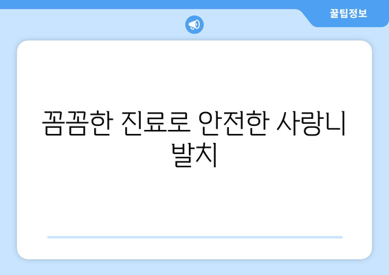 경상남도 거창군 고제면 사랑니 발치 치과 가격 비용 잘하는 곳 추천 BEST 10 비교 가이드