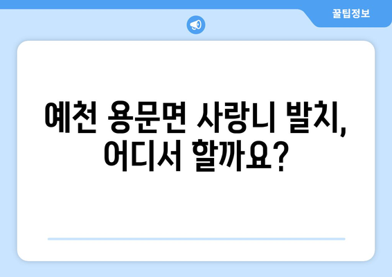 경상북도 예천군 용문면 사랑니 발치 치과 가격 비용 잘하는 곳 추천 BEST 10 비교 가이드