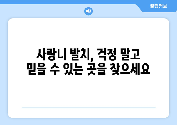 제주도 제주시 애월읍 사랑니 발치 치과 가격 비용 잘하는 곳 추천 BEST 10 비교 가이드