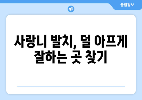 부산시 해운대구 반여2동 사랑니 발치 치과 가격 비용 잘하는 곳 추천 BEST 10 비교 가이드