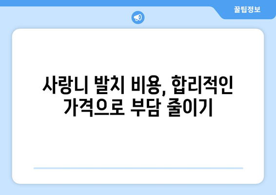 경기도 부천시 삼정동 사랑니 발치 치과 가격 비용 잘하는 곳 추천 BEST 10 비교 가이드