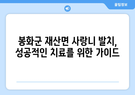 경상북도 봉화군 재산면 사랑니 발치 치과 가격 비용 잘하는 곳 추천 BEST 10 비교 가이드