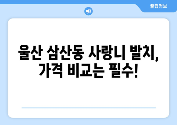 울산시 남구 삼산동 사랑니 발치 치과 가격 비용 잘하는 곳 추천 BEST 10 비교 가이드