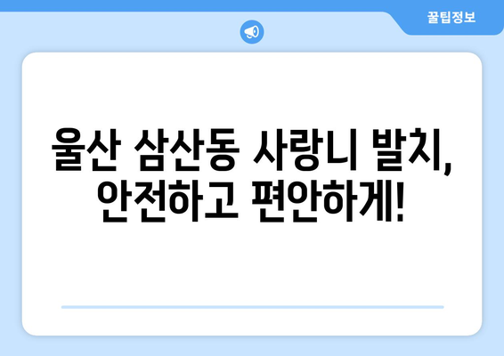 울산시 남구 삼산동 사랑니 발치 치과 가격 비용 잘하는 곳 추천 BEST 10 비교 가이드