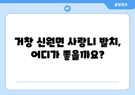 경상남도 거창군 신원면 사랑니 발치 치과 가격 비용 잘하는 곳 추천 BEST 10 비교 가이드