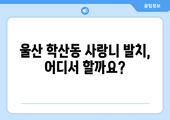 울산시 중구 학산동 사랑니 발치 치과 가격 비용 잘하는 곳 추천 BEST 10 비교 가이드