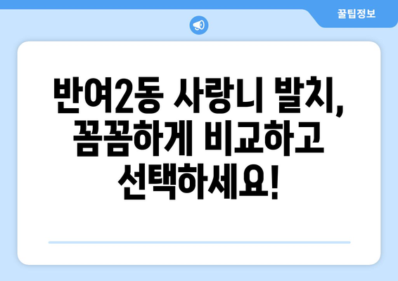 부산시 해운대구 반여2동 사랑니 발치 치과 가격 비용 잘하는 곳 추천 BEST 10 비교 가이드