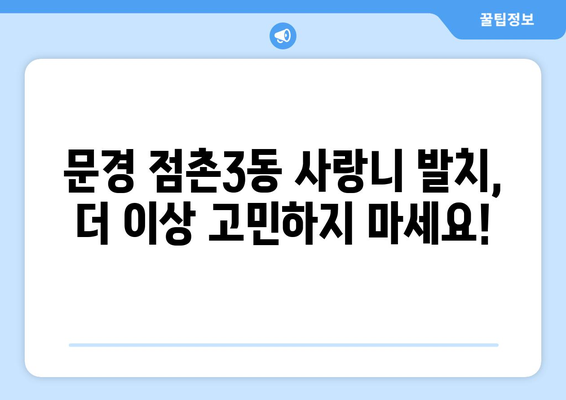 경상북도 문경시 점촌3동 사랑니 발치 치과 가격 비용 잘하는 곳 추천 BEST 10 비교 가이드
