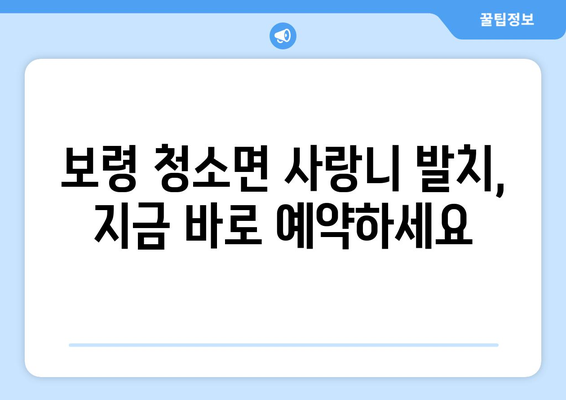 충청남도 보령시 청소면 사랑니 발치 치과 가격 비용 잘하는 곳 추천 BEST 10 비교 가이드