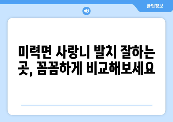 전라남도 보성군 미력면 사랑니 발치 치과 가격 비용 잘하는 곳 추천 BEST 10 비교 가이드