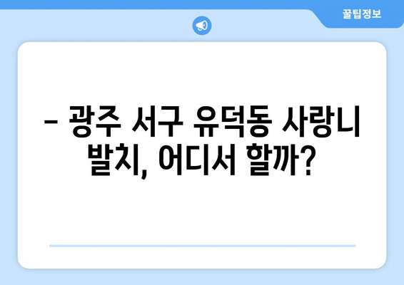 광주시 서구 유덕동 사랑니 발치 치과 가격 비용 잘하는 곳 추천 BEST 10 비교 가이드