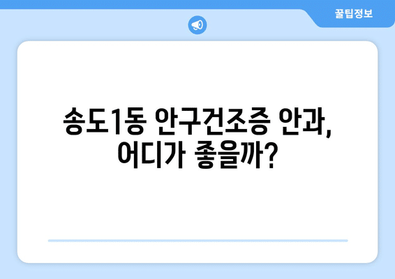 인천시 연수구 송도1동 안구건조증 안과 추천 잘하는 곳 총정리