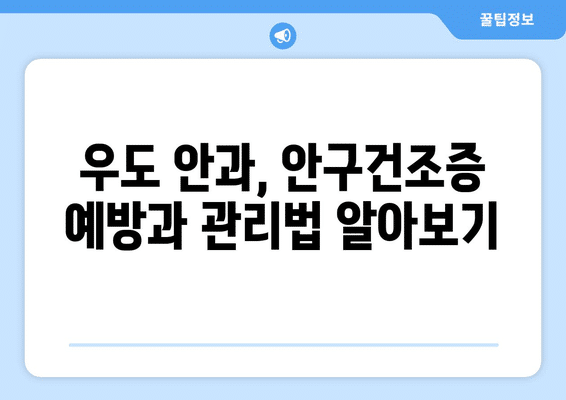 제주도 제주시 우도면 안구건조증 안과 추천 잘하는 곳 총정리