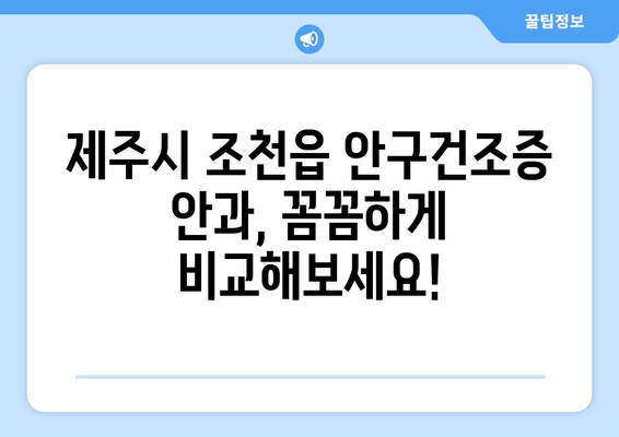 제주도 제주시 조천읍 안구건조증 안과 추천 잘하는 곳 총정리