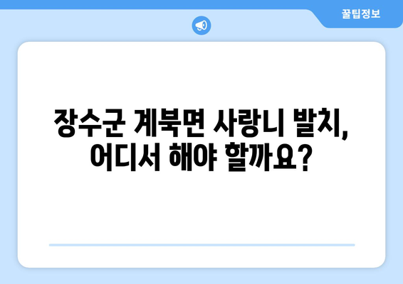 전라북도 장수군 계북면 사랑니 발치 치과 가격 비용 잘하는 곳 추천 BEST 10 비교 가이드