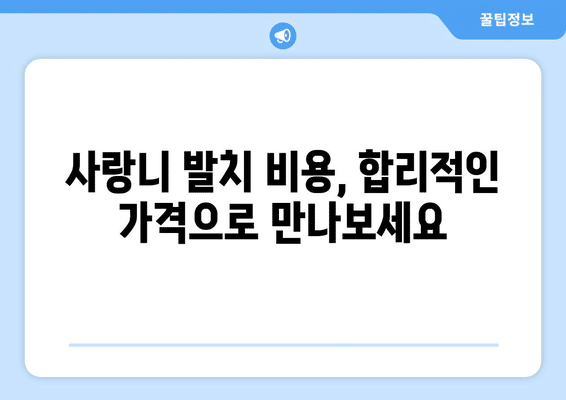 세종시 세종특별자치시 전의면 사랑니 발치 치과 가격 비용 잘하는 곳 추천 BEST 10 비교 가이드