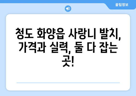 경상북도 청도군 화양읍 사랑니 발치 치과 가격 비용 잘하는 곳 추천 BEST 10 비교 가이드