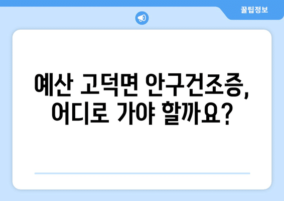 충청남도 예산군 고덕면 안구건조증 안과 추천 잘하는 곳 총정리