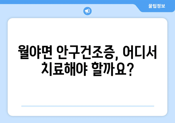 전라남도 함평군 월야면 안구건조증 안과 추천 잘하는 곳 총정리