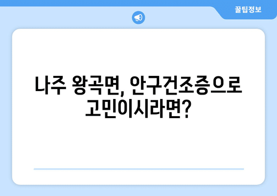 전라남도 나주시 왕곡면 안구건조증 안과 추천 잘하는 곳 총정리
