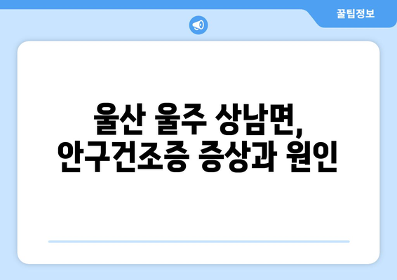 울산시 울주군 상남면 안구건조증 안과 추천 잘하는 곳 총정리