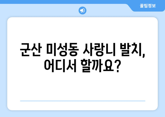 전라북도 군산시 미성동 사랑니 발치 치과 가격 비용 잘하는 곳 추천 BEST 10 비교 가이드