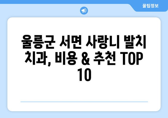 경상북도 울릉군 서면 사랑니 발치 치과 가격 비용 잘하는 곳 추천 BEST 10 비교 가이드