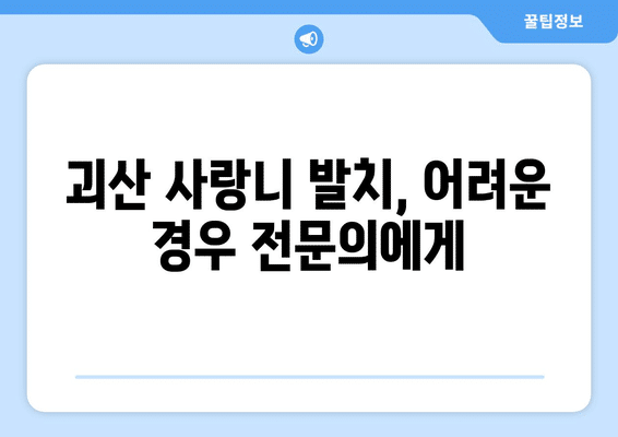 충청북도 괴산군 괴산읍 사랑니 발치 치과 가격 비용 잘하는 곳 추천 BEST 10 비교 가이드