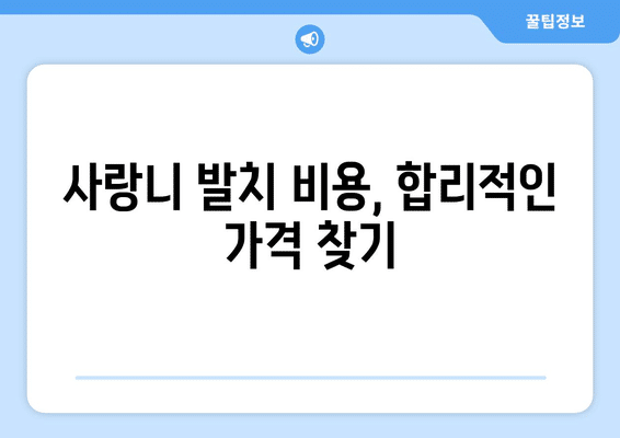 대전시 동구 대동 사랑니 발치 치과 가격 비용 잘하는 곳 추천 BEST 10 비교 가이드