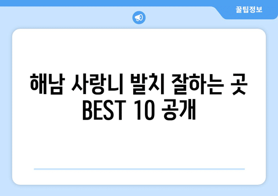 전라남도 해남군 해남읍 사랑니 발치 치과 가격 비용 잘하는 곳 추천 BEST 10 비교 가이드