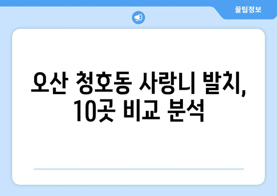 경기도 오산시 청호동 사랑니 발치 치과 가격 비용 잘하는 곳 추천 BEST 10 비교 가이드