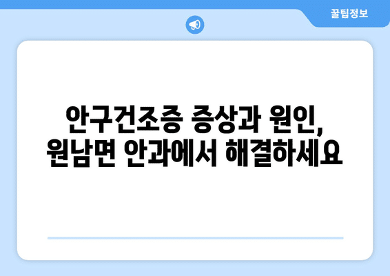 충청북도 음성군 원남면 안구건조증 안과 추천 잘하는 곳 총정리