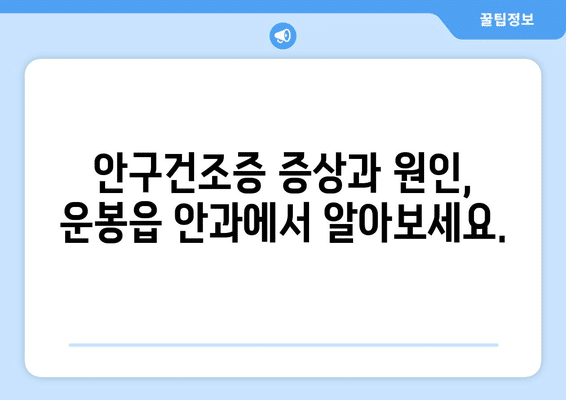 전라북도 남원시 운봉읍 안구건조증 안과 추천 잘하는 곳 총정리