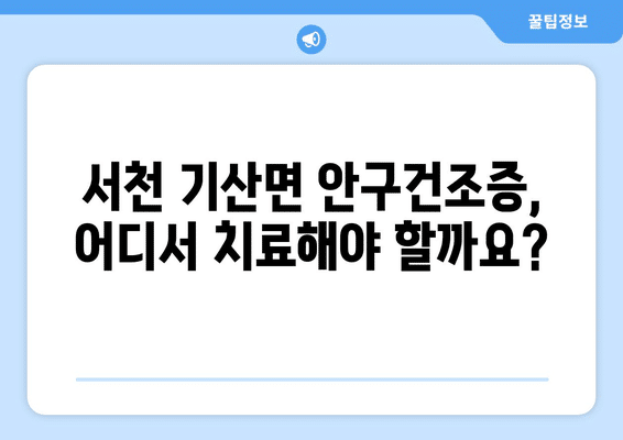 충청남도 서천군 기산면 안구건조증 안과 추천 잘하는 곳 총정리