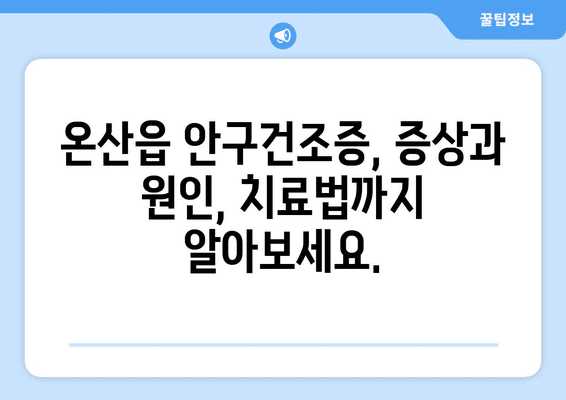 울산시 울주군 온산읍 안구건조증 안과 추천 잘하는 곳 총정리
