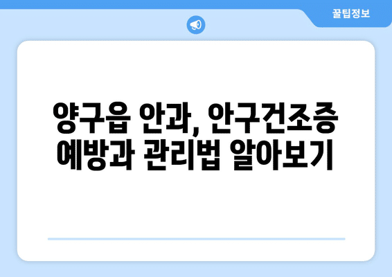 강원도 양구군 양구읍 안구건조증 안과 추천 잘하는 곳 총정리