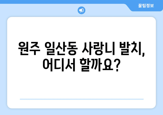 강원도 원주시 일산동 사랑니 발치 치과 가격 비용 잘하는 곳 추천 BEST 10 비교 가이드