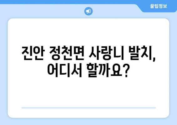 전라북도 진안군 정천면 사랑니 발치 치과 가격 비용 잘하는 곳 추천 BEST 10 비교 가이드