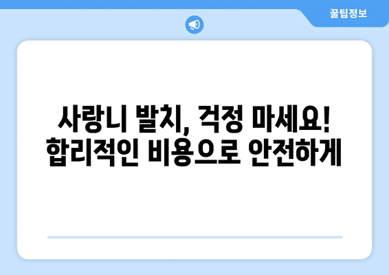 경상북도 봉화군 명호면 사랑니 발치 치과 가격 비용 잘하는 곳 추천 BEST 10 비교 가이드