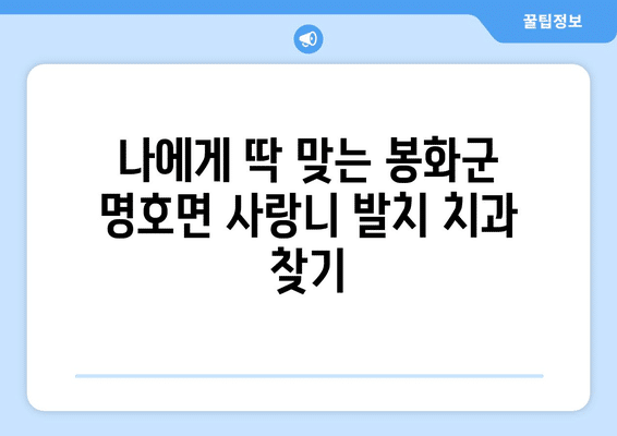 경상북도 봉화군 명호면 사랑니 발치 치과 가격 비용 잘하는 곳 추천 BEST 10 비교 가이드