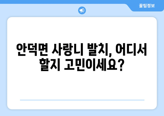 제주도 서귀포시 안덕면 사랑니 발치 치과 가격 비용 잘하는 곳 추천 BEST 10 비교 가이드