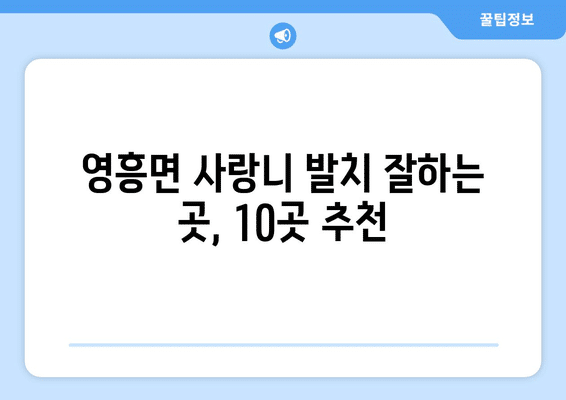 인천시 옹진군 영흥면 사랑니 발치 치과 가격 비용 잘하는 곳 추천 BEST 10 비교 가이드