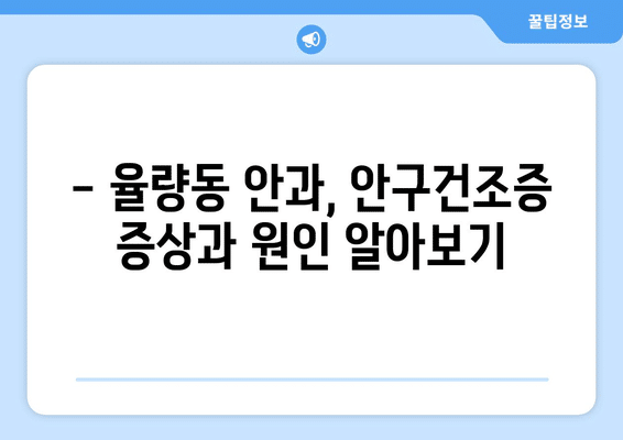 충청북도 청주시 청원구 율량동 안구건조증 안과 추천 잘하는 곳 총정리