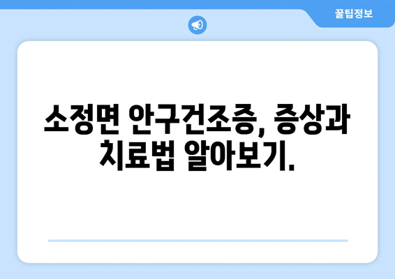 세종시 세종특별자치시 소정면 안구건조증 안과 추천 잘하는 곳 총정리