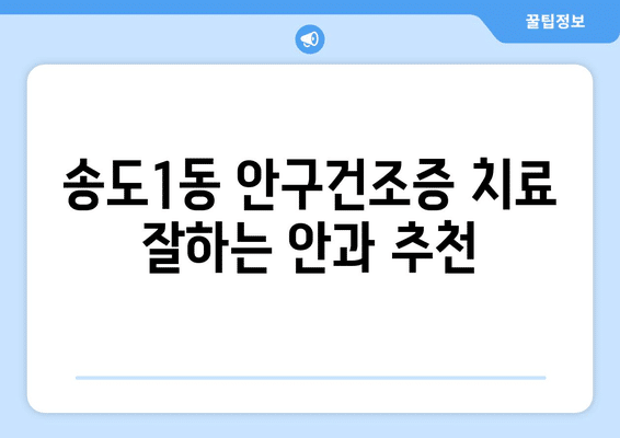 인천시 연수구 송도1동 안구건조증 안과 추천 잘하는 곳 총정리