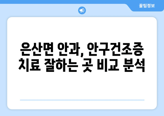 충청남도 부여군 은산면 안구건조증 안과 추천 잘하는 곳 총정리