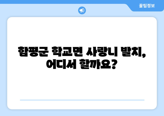 전라남도 함평군 학교면 사랑니 발치 치과 가격 비용 잘하는 곳 추천 BEST 10 비교 가이드