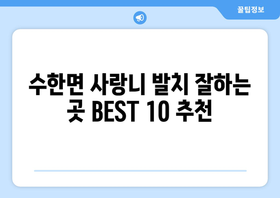 충청북도 보은군 수한면 사랑니 발치 치과 가격 비용 잘하는 곳 추천 BEST 10 비교 가이드